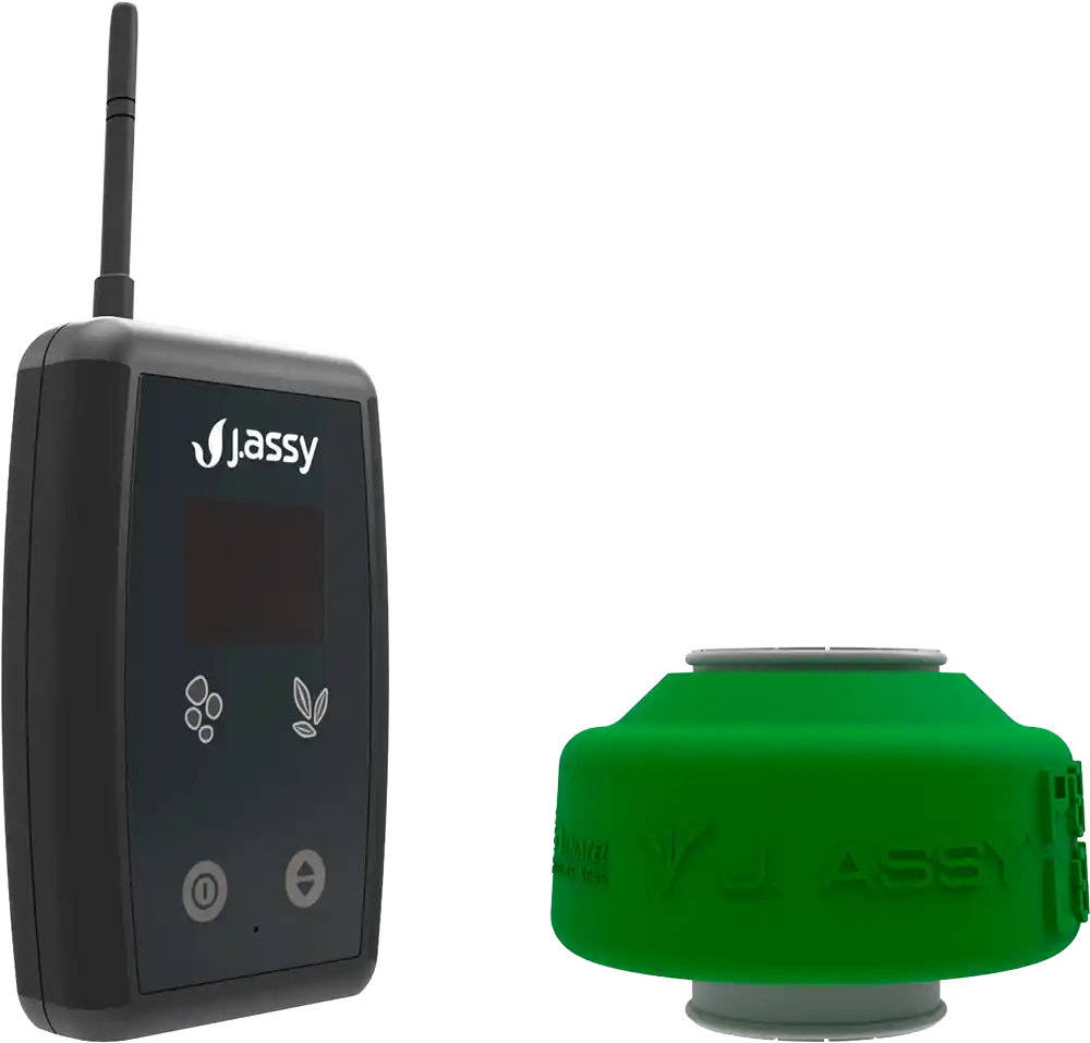 Visum Small Grains Sensor